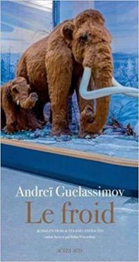 Couverture du livre Le froid - Andrei Guelassimov