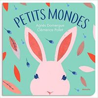 Couverture du livre Petits mondes - Agnes Domergue