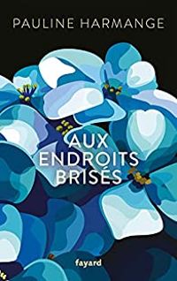 Couverture du livre Aux endroits brisés - Pauline Harmange