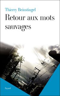 Thierry Beinstingel - Retour aux mots sauvages