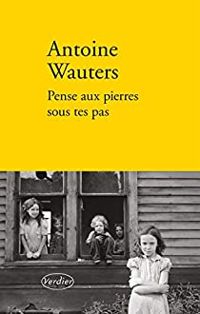 Couverture du livre Pense aux pierres sous tes pas - Antoine Wauters