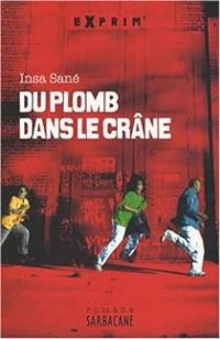 Insa Sane - Du plomb dans le crâne