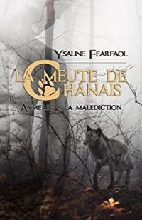 Couverture du livre Aymeric - la malédiction - Ysaline Fearfaol