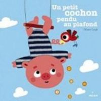 Couverture du livre Un petit cochon pendu au plafond - Olivier Latyk