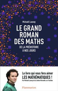 Mickaël Launay - Le grand roman des maths 