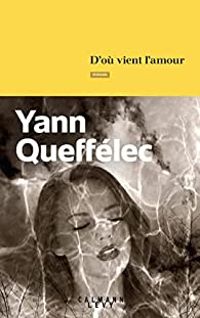 Couverture du livre D'où vient l'amour - Yann Queffelec