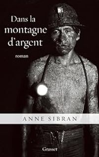 Couverture du livre Dans la montagne d'argent - Anne Sibran