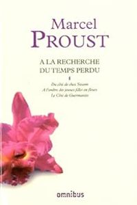 Marcel Proust - Du côté de chez Swann 