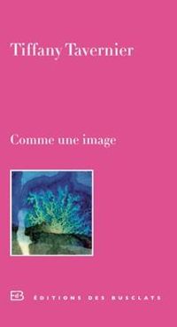 Couverture du livre Comme une image - Tiffany Tavernier