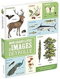 Virginie Aladjidi - Caroline Pelissier - Mon grand livre d'images Deyrolle