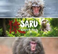 Couverture du livre Saru - Singes du Japon - Alexandre Bonnefoy - Delphine Vaufrey - Cedric Sueur - Marie Pele - Tetsuro Matsuzawa