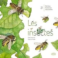 Couverture du livre Les insectes - Capucine Mazille