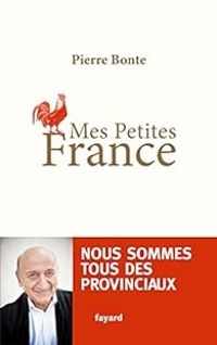 Couverture du livre Mes petites France - Pierre Bonte