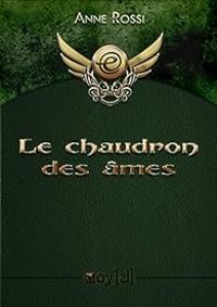 Couverture du livre Le chaudron des âmes - Anne Rossi