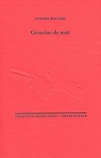 Antoine Wauters - Césarine de nuit