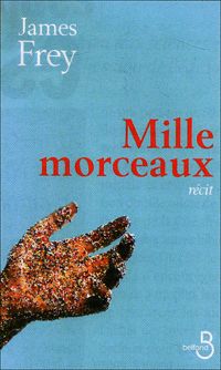 Couverture du livre Mille morceaux - James Frey