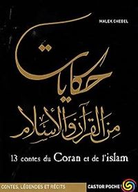 Couverture du livre 13 contes du Coran et de l'islam - Malek Chebel