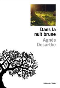 Agnes Desarthe - Dans la nuit brune