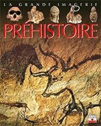 Couverture du livre La Préhistoire - Emilie Beaumont - Christine Sagnier