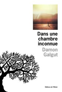 Damon Galgut - Dans une chambre inconnue