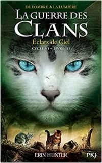 Couverture du livre Éclats de Ciel - Erin Hunter