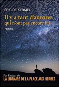 Couverture du livre Il y a tant d'aurores qui n'ont pas encore lui - Ric De Kermel