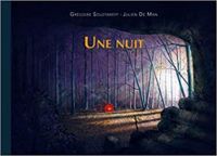 Gregoire Solotareff - Julien De Man - Une nuit