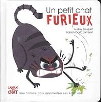 Couverture du livre Un petit chat furieux - Audrey Bouquet