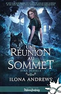 Couverture du livre Une réunion au sommet - Ilona Andrews