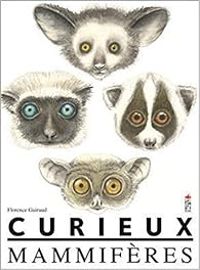 Couverture du livre Curieux mammifères - Florence Guiraud