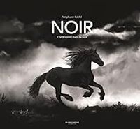 Stephane Kiehl - Noir