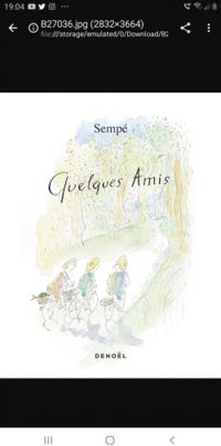 Couverture du livre Quelques amis - Jean Jacques Sempe