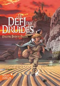 Couverture du livre Le défi des Druides - Evelyne Brisou Pellen