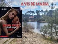 Couverture du livre Brown Sugar : Descente en enfer - Eva Adams