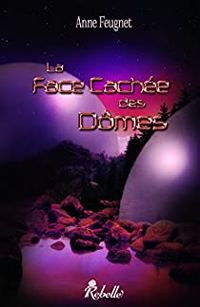 Couverture du livre La face cachée des dômes - Anne Feugnet