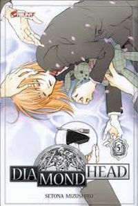 Couverture du livre Diamond Head - Setona Mizushiro