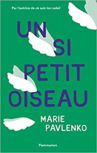 Couverture du livre Un si petit oiseau - Marie Pavlenko