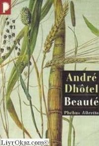 Couverture du livre Beauté - Andre Dhotel