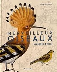 Couverture du livre Merveilleux oiseaux grandeur nature - Guilhem Lesaffre