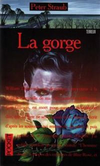 Couverture du livre La Gorge - Peter Straub