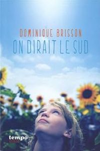 Dominique Brisson - On dirait le Sud