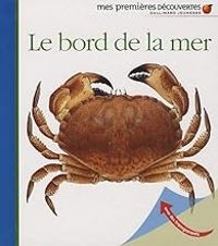 Couverture du livre Le bord de la mer - Ute Fuhr