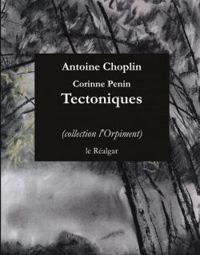 Antoine Choplin - Tectoniques