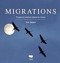 Marc Duquet - Migrations