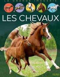 Couverture du livre Les Chevaux : Pour les faire connaître aux enfants - Emilie Beaumont - Agnes Vandewiele - Patricia Reinig - Marie Christine Lemayeur - Bernard Alunni