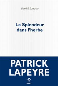 Couverture du livre La Splendeur dans l'herbe - Patrick Lapeyre