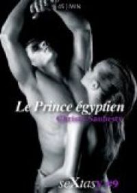 Couverture du livre Le Prince égyptien - Christy Saubesty