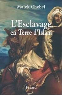 Couverture du livre L'Esclavage en Terre d'Islam - Malek Chebel