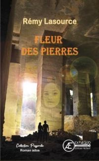 Remy Lasource - Fleur des pierres