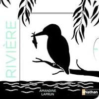 Couverture du livre Rivière - Amandine Laprun